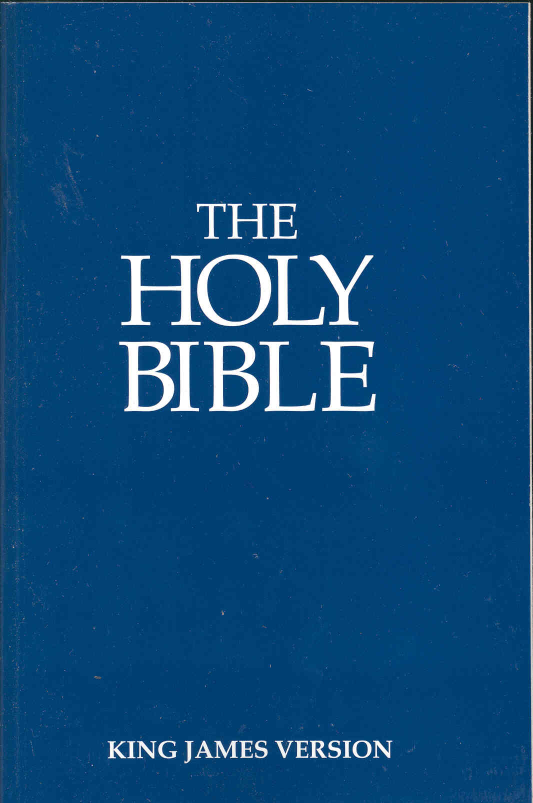 KJV paperback Bible